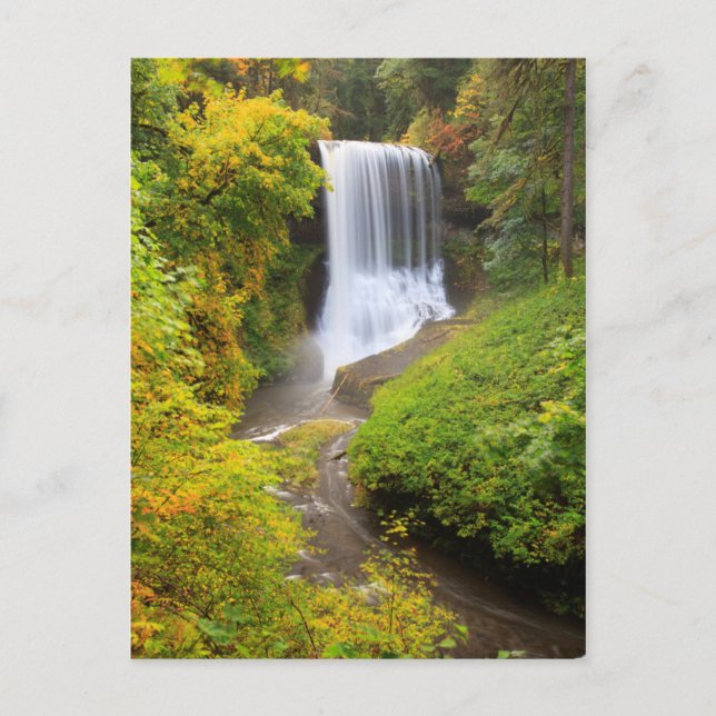 USA, Oregon, Silver Falls State Park 3 Vykort (Framsida)