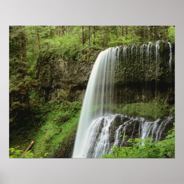 USA, Oregon, Silver Falls State Park. Lägre Poster (Framsidan)