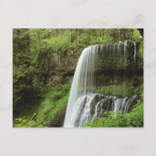 USA, Oregon, Silver Falls State Park. Lägre Vykort