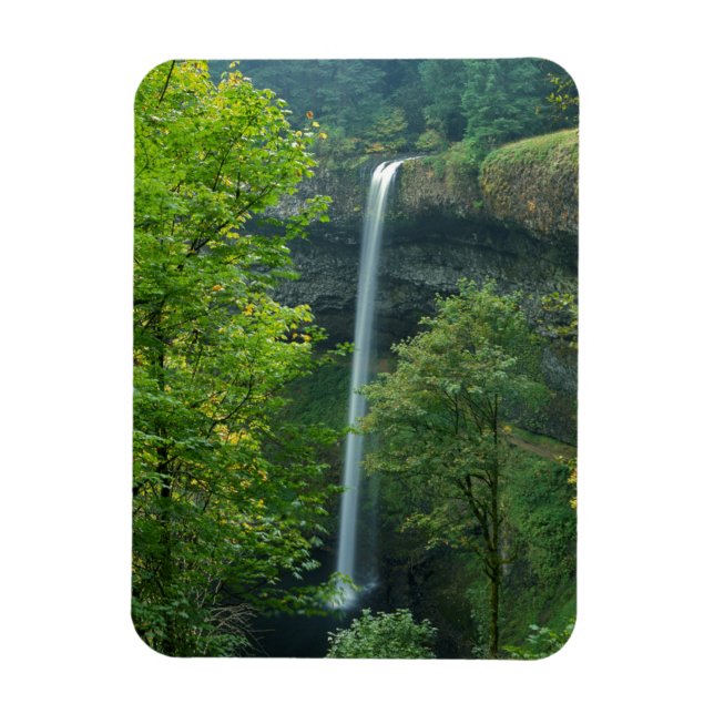 USA, Oregon, Silver Falls State Park Magnet (Vertikal)