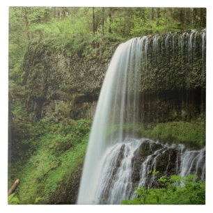 USA, Oregon, Silver Falls State Park. Nedre Kakelplatta