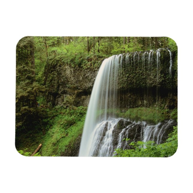 USA, Oregon, Silver Falls State Park. Nedre Magnet (Horisontell)