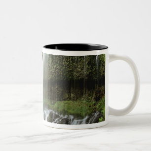 USA, Oregon, Silver Falls State Park. Nedre Två-Tonad Mugg