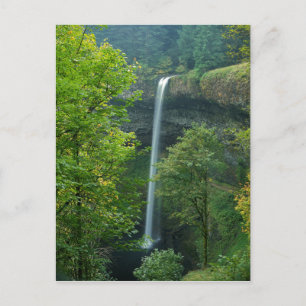 USA, Oregon, Silver Falls State Park Vykort