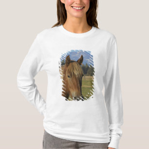 USA, Oregon, Sisters, utsikt över Three Sisters, T-shirt