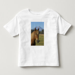 USA, Oregon, Sisters, vy över Three Sisters, T Shirt