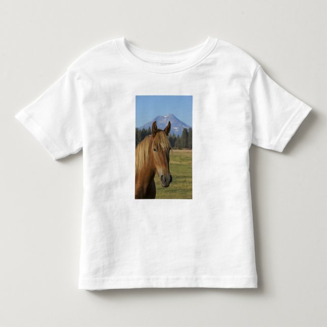 USA, Oregon, Sisters, vy över Three Sisters, T Shirt (Framsida)