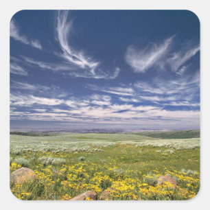 USA, Oregon, Steens Mountain. Våren blommar Fyrkantigt Klistermärke