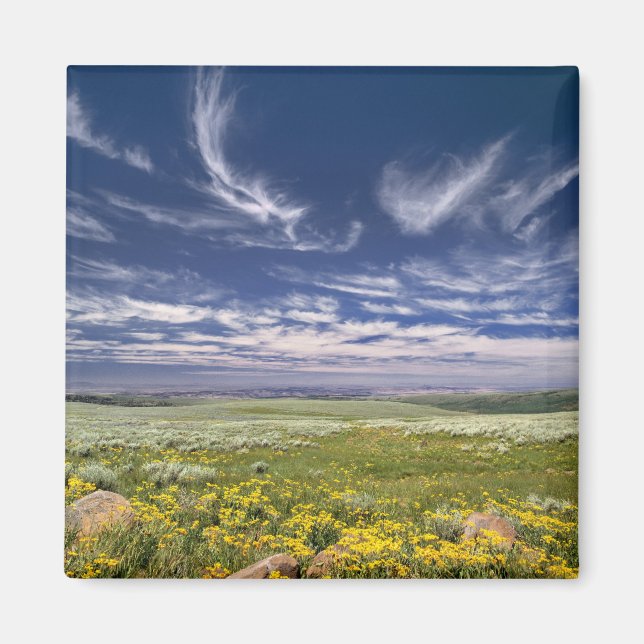 USA, Oregon, Steens Mountain. Våren blommar Magnet (Framsidan)