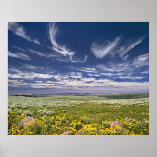 USA, Oregon, Steens Mountain. Våren spirar Poster