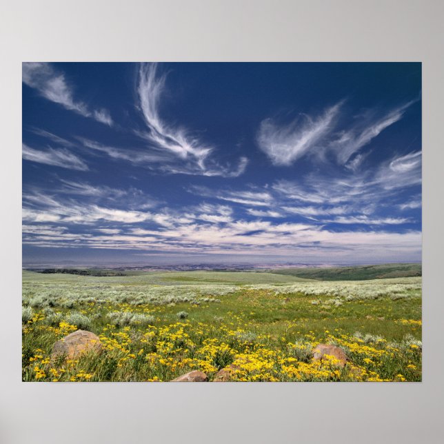 USA, Oregon, Steens Mountain. Våren spirar Poster (Framsidan)