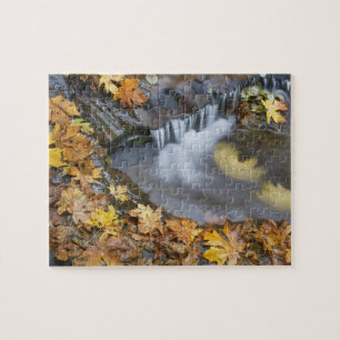 USA, Oregon, Sweet Creek. Fallna lönnlöven Pussel