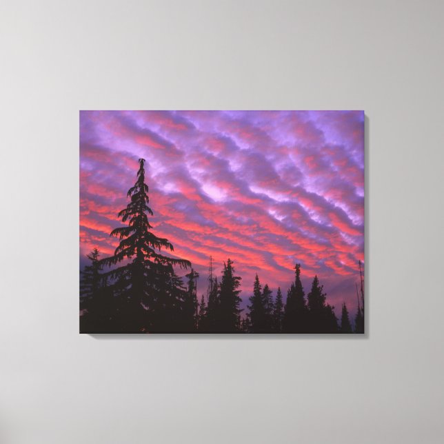 USA, Oregon, Three Sisters Wilderness, Livlig Canvastryck (Framsida)