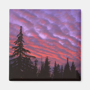 USA, Oregon, Three Sisters Wilderness, Livlig Magnet
