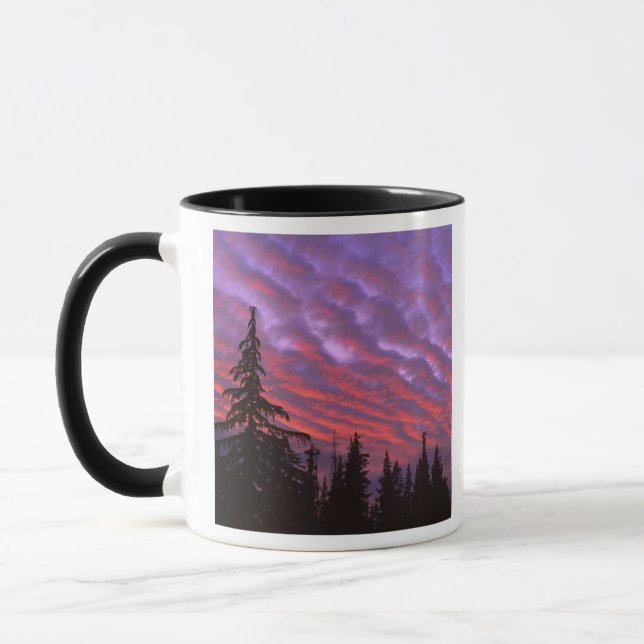 USA, Oregon, Three Sisters Wilderness, Livlig Mugg (Vänster)