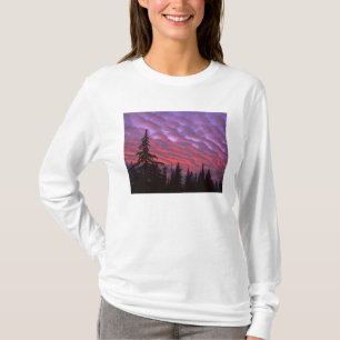 USA, Oregon, Three Sisters Wilderness, Livlig T Shirt