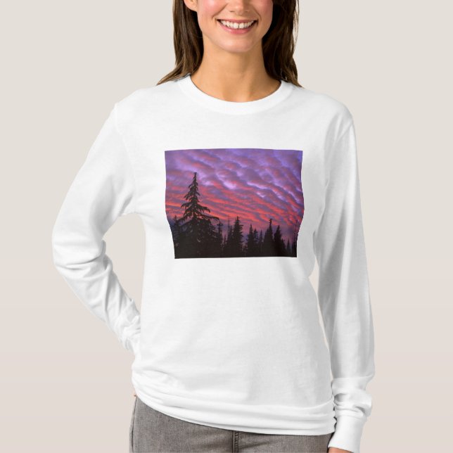 USA, Oregon, Three Sisters Wilderness, Livlig T Shirt (Framsida)