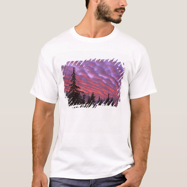 USA, Oregon, Three Sisters Wilderness, Livlig T Shirt (Framsida)