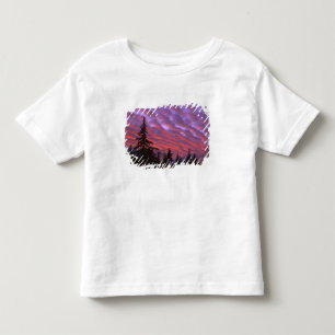 USA, Oregon, Three Sisters Wilderness, Livlig T-shirt