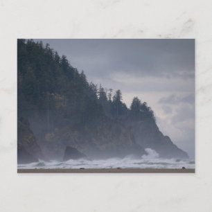 USA, Oregon, Tillamook County, Forest vid kusten Vykort