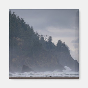 USA Oregon, Tillamook County, skog på kusten Magnet