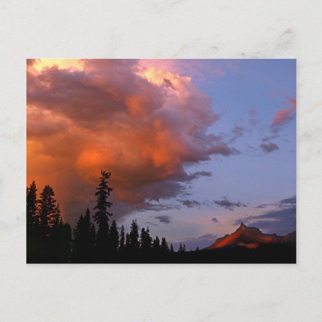 USA, Oregon, Umpqua National Forest. Storm 2 Vykort (Framsida)