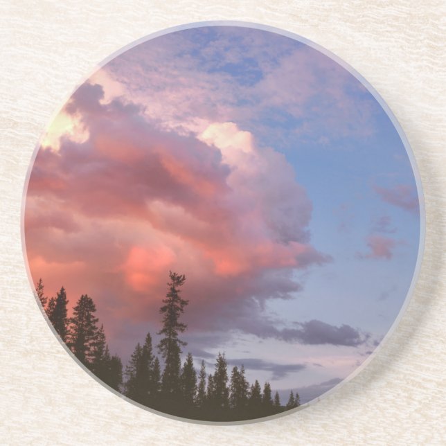 USA, Oregon, Umpqua National Forest. Storm Underlägg Sandsten (Framsidan)