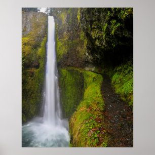 USA, Oregon. Vy 130 Ft från topp till Grund Poster