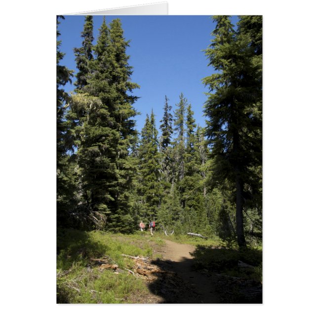 USA, Oregon, Willamette National Forest, Fall Hälsningskort (Framsidan)