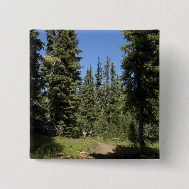 USA, Oregon, Willamette National Forest, Höst Knapp (Framsida)