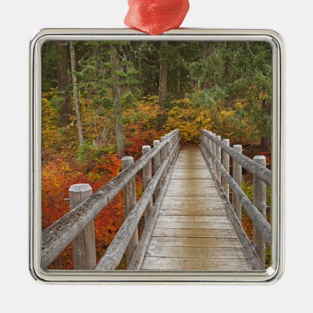 USA, Oregon, Willamette National Forest. Julgransprydnad Metall (Framsidan)
