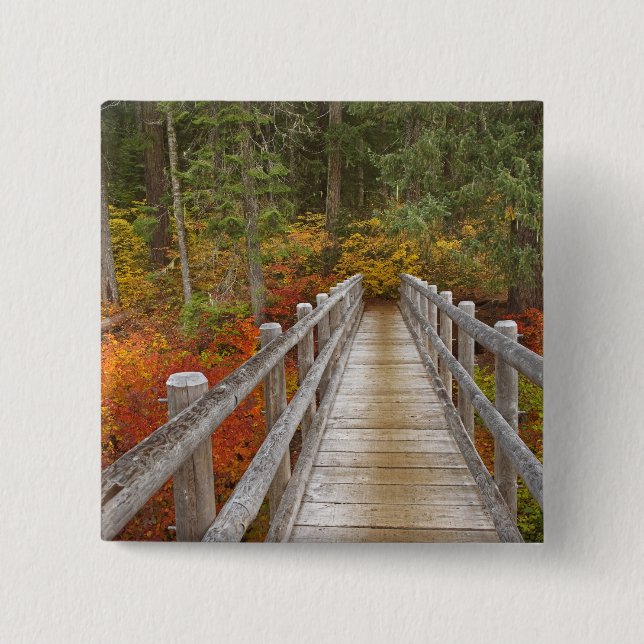 USA, Oregon, Willamette National Forest. Knapp (Framsida)