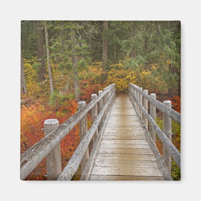 USA, Oregon, Willamette National Forest. Magnet (Framsidan)