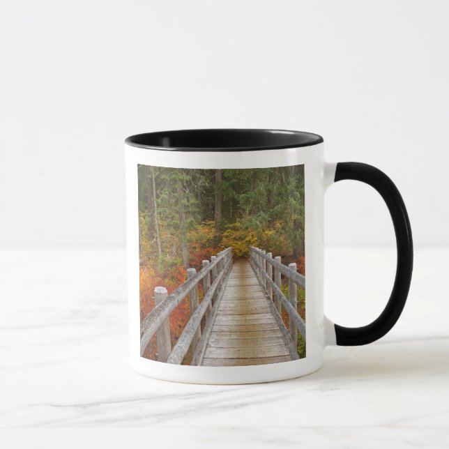 USA, Oregon, Willamette National Forest. Mugg (Höger)
