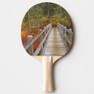 USA, Oregon, Willamette National Forest. Pingisracket