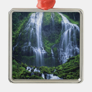 USA, Oregon, Willamette National Forest. Utsikt öv Julgransprydnad Metall