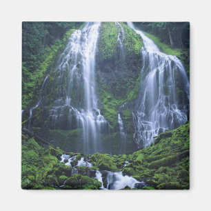 USA, Oregon, Willamette National Forest. Utsikt öv Magnet