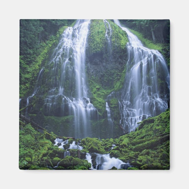 USA, Oregon, Willamette National Forest. Utsikt öv Magnet (Framsidan)
