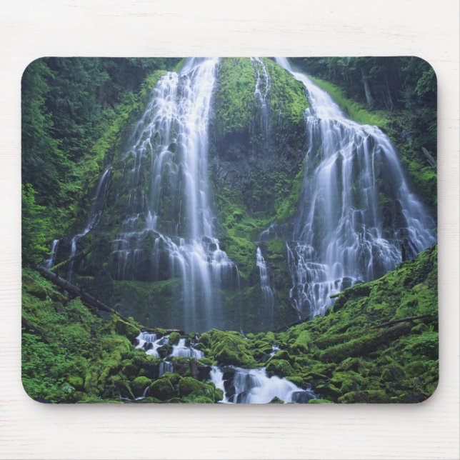 USA, Oregon, Willamette National Forest. Utsikt öv Musmatta (Framsidan)