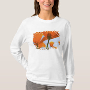 USA, Oregon, Willamette Valley, närbild av 2 T Shirt