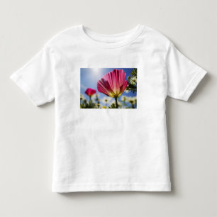 USA, Oregon, Willamette Valley, närbild av T-shirt