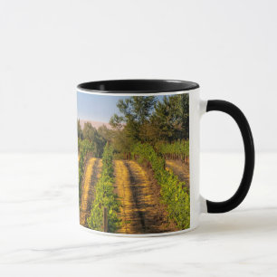 USA, östra Washington, Walla Walla Vineyards Mugg