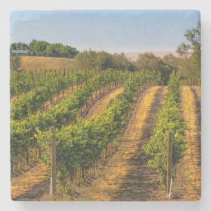 USA, östra Washington, Walla Walla Vineyards Stenunderlägg