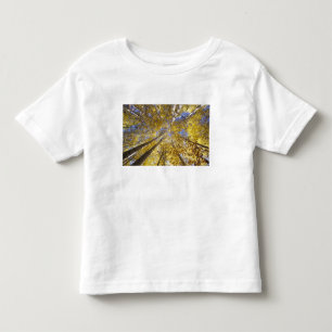 USA, Pacific Northwest. Aspen träd under hösten Tee Shirt