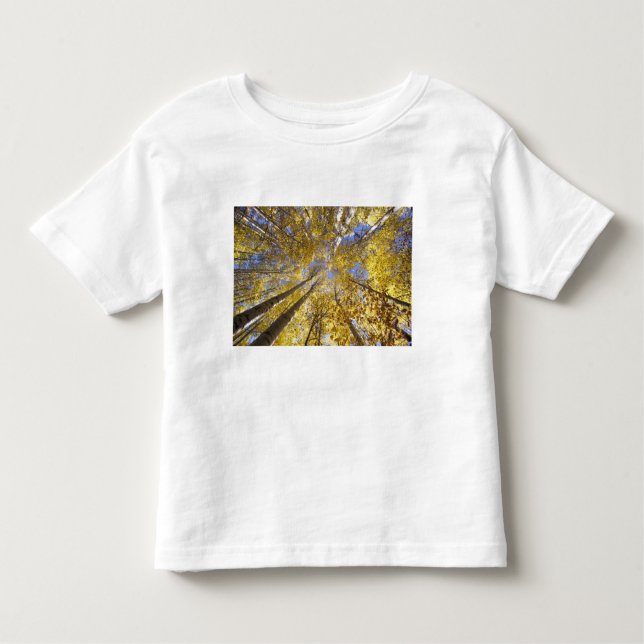 USA, Pacific Northwest. Aspen träd under hösten Tee Shirt (Framsida)