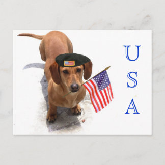 USA Patriotic Dachshund-vykort Vykort