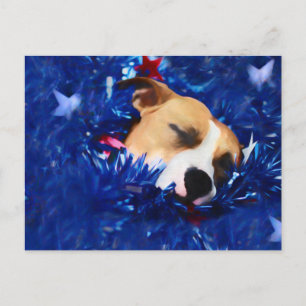 USA Patriotic Hund American Pit Bull Terrier Vykort