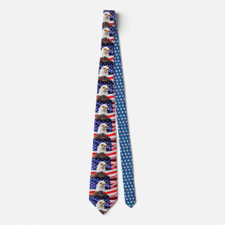 USA Patriotic NeckTie Slips