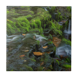 USA, Pennsylvania, Benton, Ricketts Glen State Kakelplatta