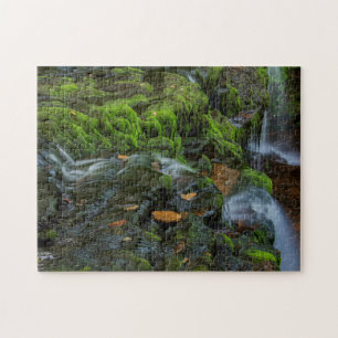USA, Pennsylvania, Benton, Ricketts Glen State Pussel